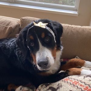 Meet your Posher, Hailey